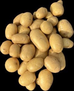 A Grade Colomba Potato