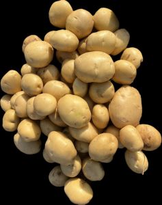 Yellow Khyati Potatoes