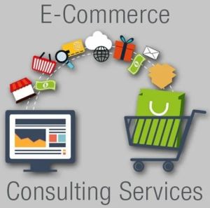 E Commerce Consulting Services