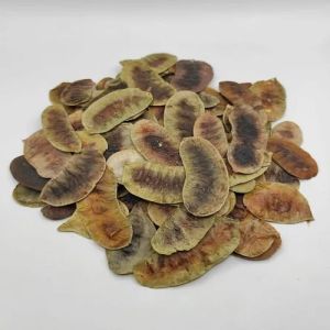 Dried Senna Pods