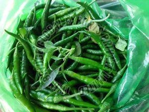Fresh G4 Green Chilli