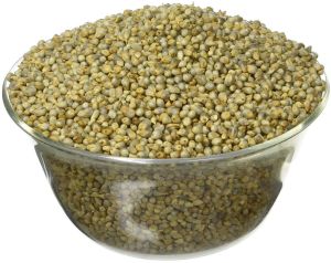 Organic Pearl Millet Grain