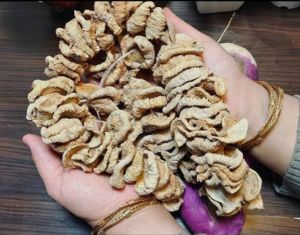 Sun Dried Vegetables