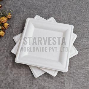 Square Sugarcane Bagasse Disposable Plate