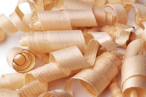 Sawdust Powder