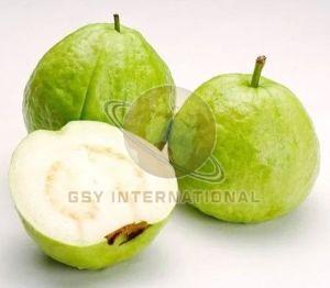 A Grade Fresh Guava