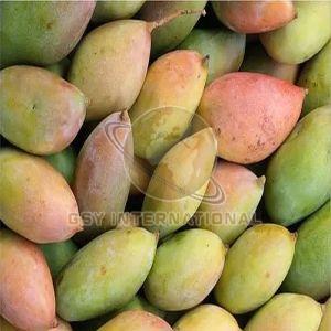 A Grade Fresh Totapuri Mango
