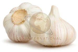 A Grade Fresh White Garlic