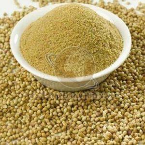 Coriander Powder