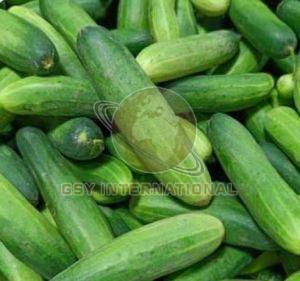 Fresh Cucumber