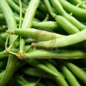 Fresh French Beans