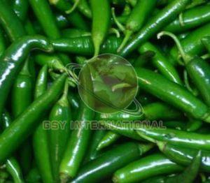 Fresh Green Chilli