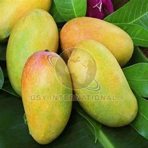 Fresh Indian Kesar Mango