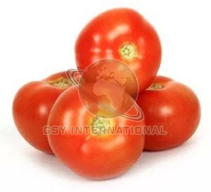 Fresh Red Tomato
