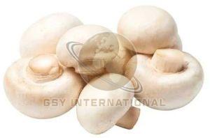 Fresh White Button Mushroom