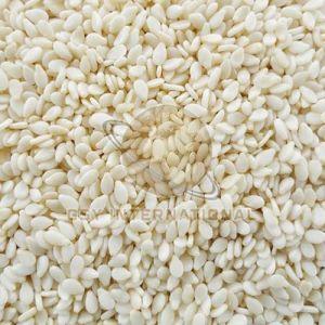 Hulled White Sesame Seeds