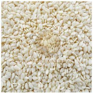 White Sesame Seeds