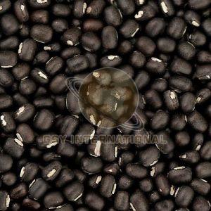 Whole Black Urad Dal