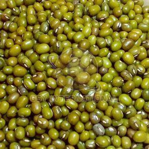 Whole Green Moong Dal