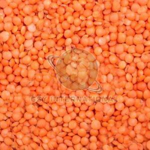 Whole Red Masoor Dal