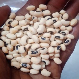 Black Eyed Beans