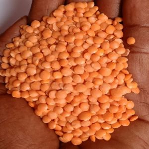 Red Masoor Dal