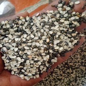 Split Green Moong Dal