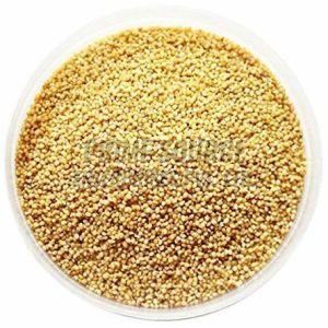 Foxtail Millet Seeds