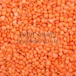 Whole Red Masoor Dal