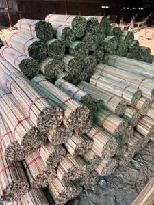 Teak Wood Margin Patti