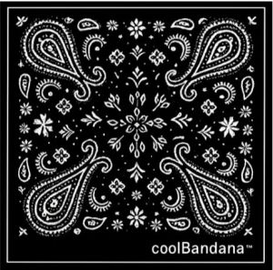 Unisex Classic Paisley Fashion Bandana