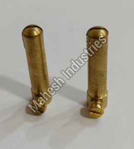 Brass Male 2 Pin