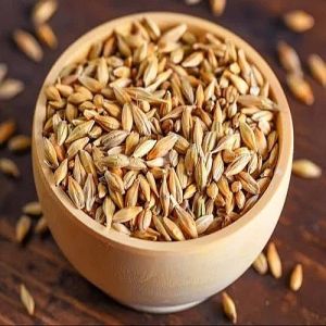 A Grade Barley Seeds