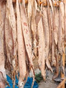 Premium Sun Dried Ribbon Fish (Shutki)