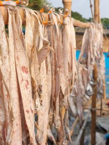 Premium Sun Dried Ribbon Fish (Shutki)