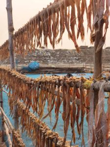 Premium Sun Dried Ribbon Fish (Shutki)