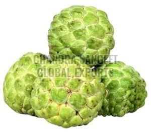 Green Custard Apple