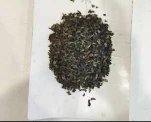 Green Premium Darjeeling Leaf Tea