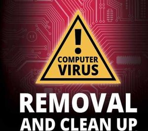 Computer Virus Removal Service