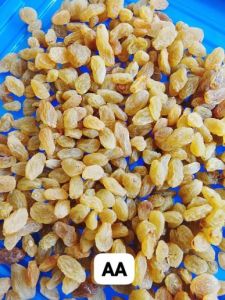 AA Grade Golden Raisins