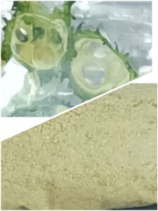 Dehydrated Bitter Gourd Powder