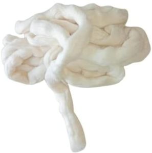 Raw Cotton