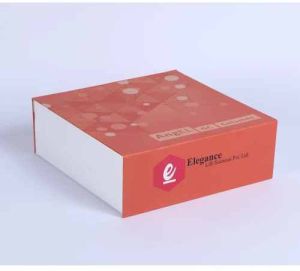 Kappa Board Packaging Box