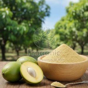 Spray Dried Amchur Powder