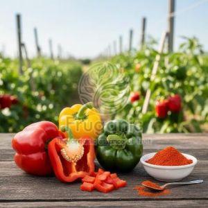 Spray Dried Capsicum Powder