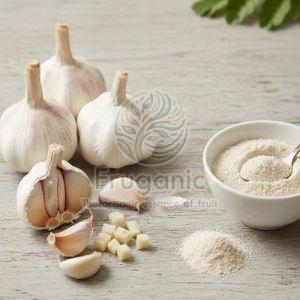 Garlic Powder