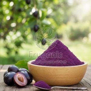 Spray Dried Jamun Powder