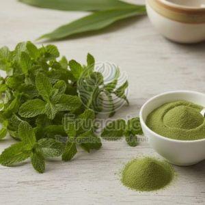 Spray Dried Mint Powder