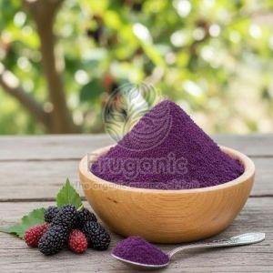 Spray Dried Mulberry Powder