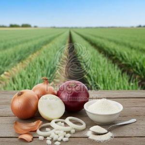 Onion Powder